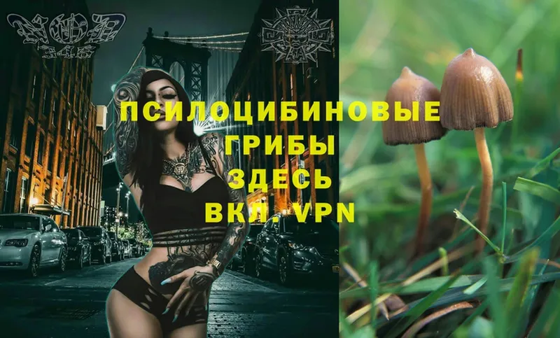 Псилоцибиновые грибы Magic Shrooms  Ялта 